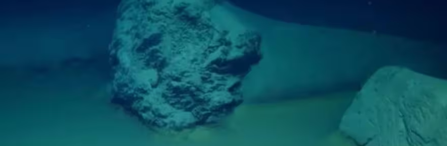 Los científicos finalmente llegaron al fondo del Mar Rojo y lo que encontraron fue aterrador