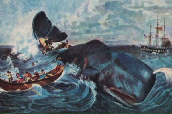 Moby Dick y la verdad sobre la historia que inspiró la aclamada novela de Herman Melville