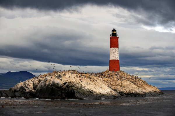 Entre naufragios y mares bravíos, recorrido por los faros patagónicos