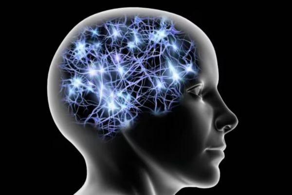 Una neurocientífica revela qué “juegos” fortalecen el cerebro, estimulan las neuronas y previenen el Alzheimer