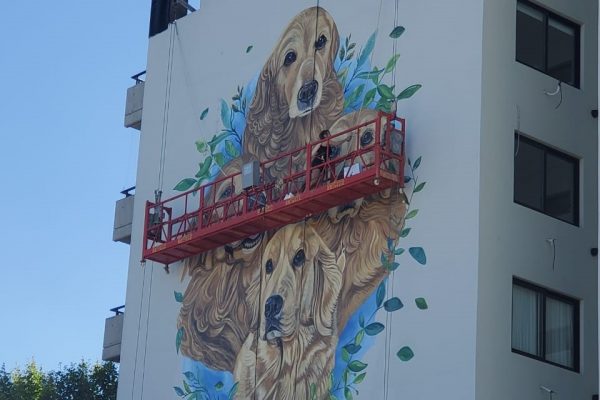 Inauguración del mural “Hogares que dejan Huella”: Mirando el arco iris antes de la tormenta