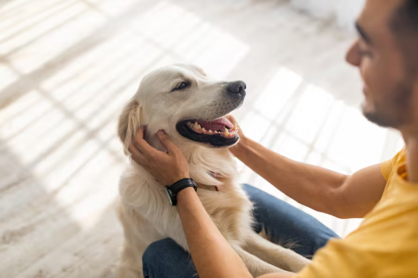 Estos son los sonidos que les gustan a los perros