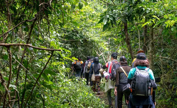 Survivor Expedición Robinson 2024: cómo será el nuevo reality de Telefe que se grabó en Colombia