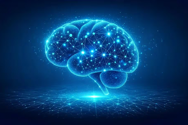 Que hay detrás de la molécula descubierta por una científica argentina que busca rejuvenecer el cerebro