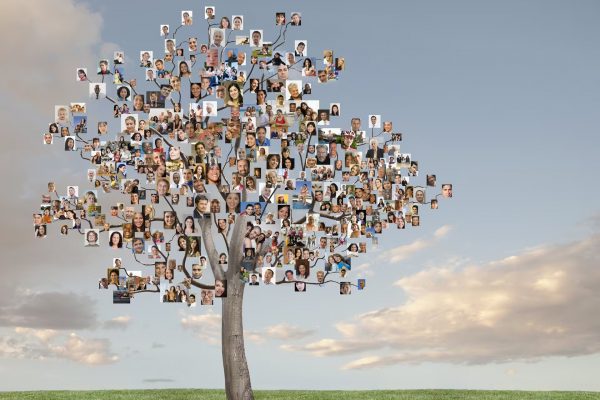 Constelaciones familiares: de qué se trata este método para romper con patrones ancestrales