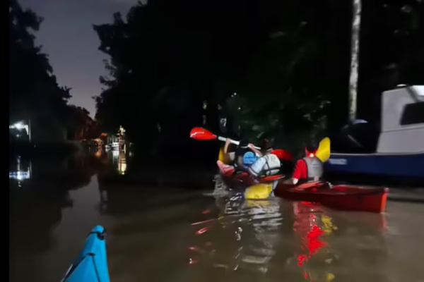 Cómo es un paseo en kayak nocturno para remar bajo la Luna entre juncos y canales
