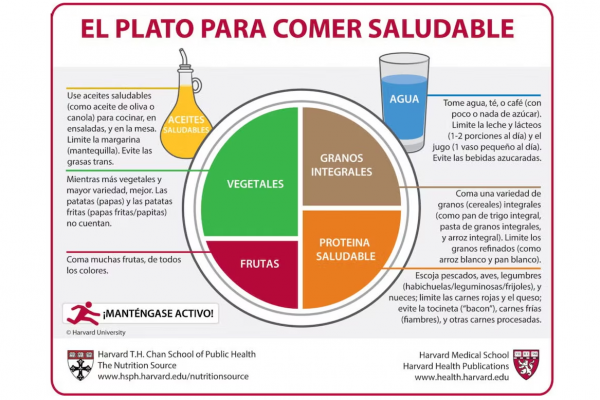 Cómo armar el “Plato perfecto de Harvard”: la guía para una dieta saludable, según la ciencia