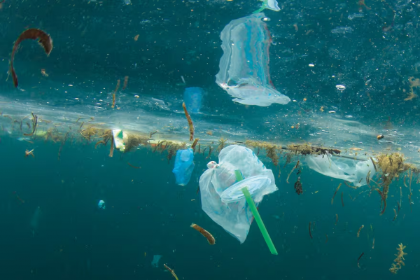 Crearon un plástico ecológico: se disuelve en agua de mar después de unas horas
