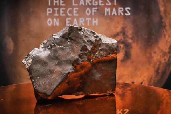 Un meteorito de Marte encontrado en el desierto del Sahara fue vendido por un precio récord de USD 4,3 millones