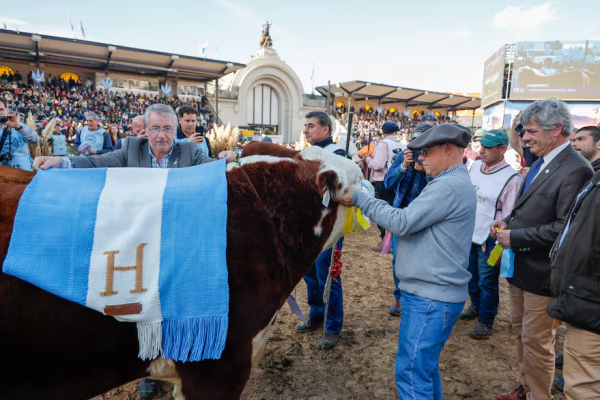 Exposición Rural de Palermo: valor de las entradas, quienes entran gratis y promociones