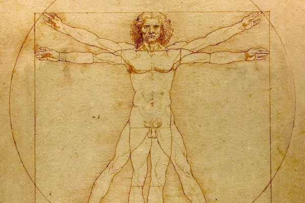 Se resolvió el verdadero Código Da Vinci: un dentista descifró el secreto geométrico oculto hace más de 500 años en el Hombre de Vitruvio