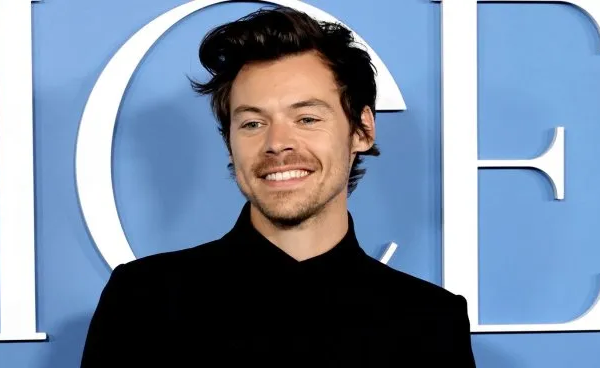 Harry Styles lanza una nueva gama de juguetes sexuales con su marca «Pleasing»
