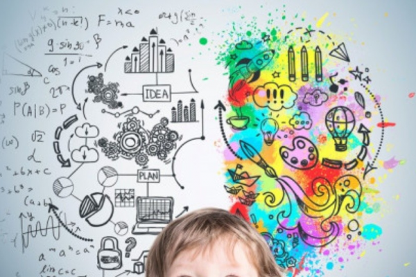 La educación define nuestro destino cognitivo