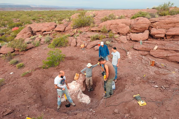 Hallaron una nueva especie de dinosaurio en la Patagonia argentina: vivió hace 95 millones de años