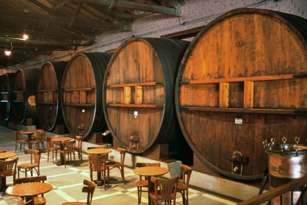Se extiende a todo el mes de agosto la Campaña “Bodegas Abiertas” el programa para que los mendocinos puedan visitar y experimentar en las bodegas