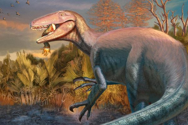 Hallaron restos de un gran dinosaurio en la Patagonia: vivió hace 70 millones de años y tenía un hueso de cocodrilo en la mandíbula