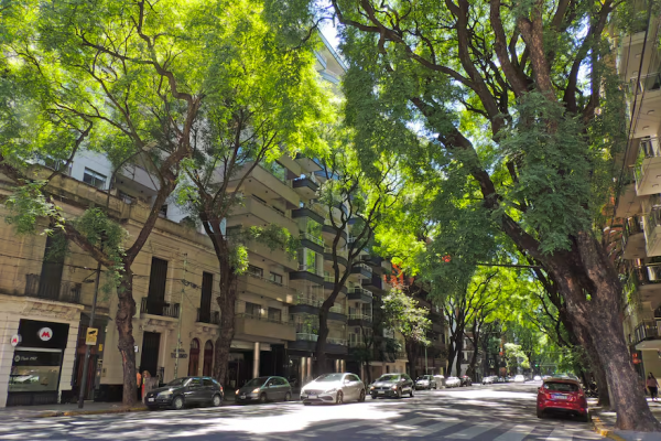 Las calles con arboledas más lindas de Buenos Aires