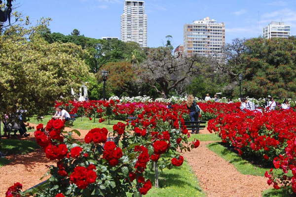 ¿Quién plantó Buenos Aires?