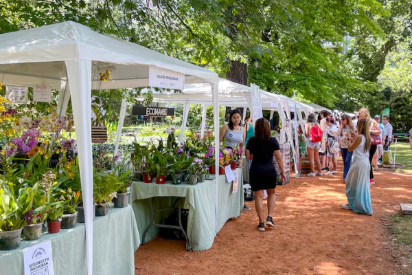 Feria del Botánico: Termina hoy este clásico porteño con más expositores y actividades al aire