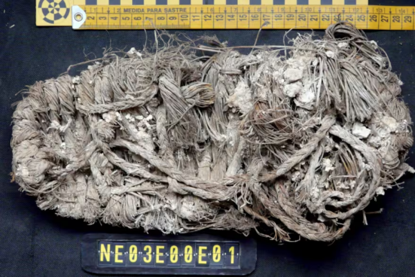 Científicos encontraron un zapato de hace 750 años en el nido de buitre