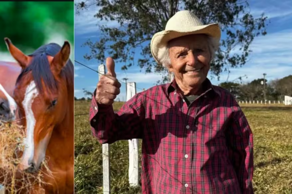 Tiene 102 años: pesca, anda a caballo, administra dos granjas y revela cinco pilares para la longevidad: ‘Todavía quiero quemar mucha leña’
