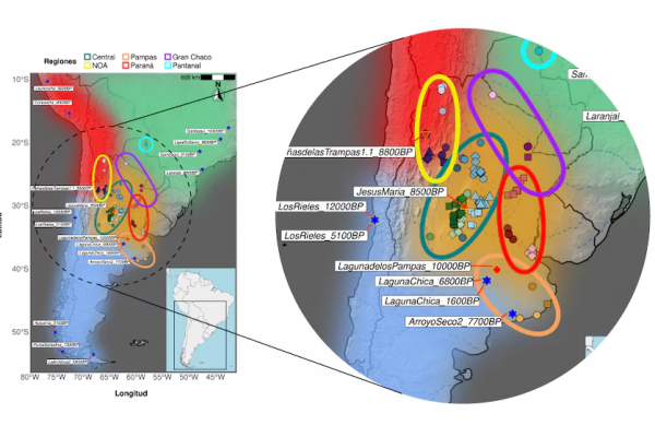 Científicos del CONICET y Harvard identificaron un nuevo linaje genético en el centro de Argentina