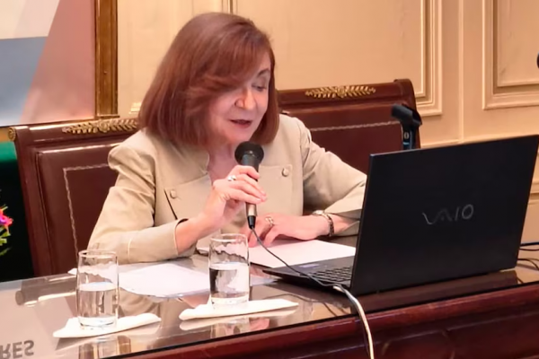 Una escritora en la Academia de Ciencias: María Rosa Lojo y su discurso sobre el país imaginado