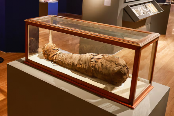 Momias y sarcófagos en el Bellas Artes: Egipto como nunca se vio en la Argentina