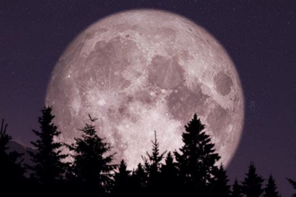 La superluna de hoy es la más brillante y cercana del año: cómo observarla