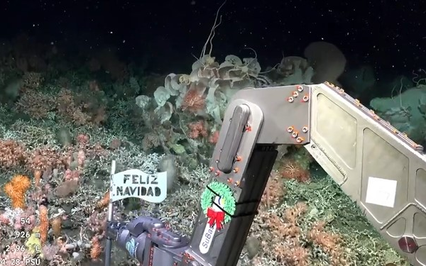 El saludo navideño de los científicos del Conicet a 1.000 metros de profundidad