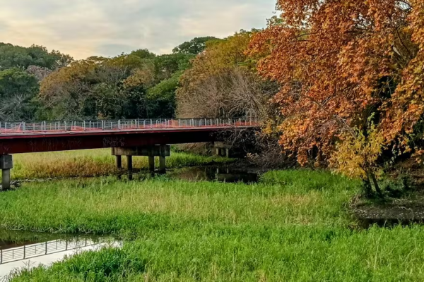 Aventura en la selva sin salir de Buenos Aires: todo lo que se puede hacer en las reservas ecológicas porteñas
