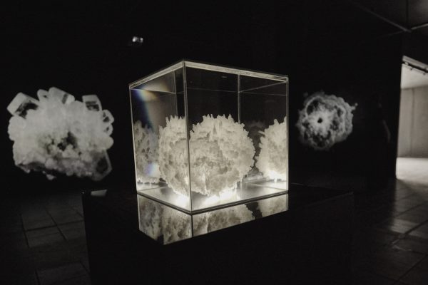 Alejandra Isler presenta Surumpio