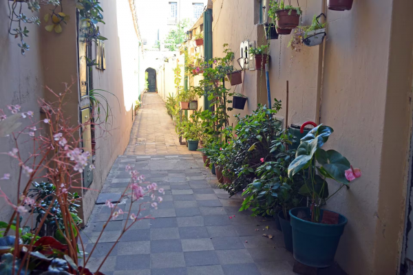 El Conventillo de la Paloma: pasado y presente de un símbolo cultural que se resiste a desaparecer