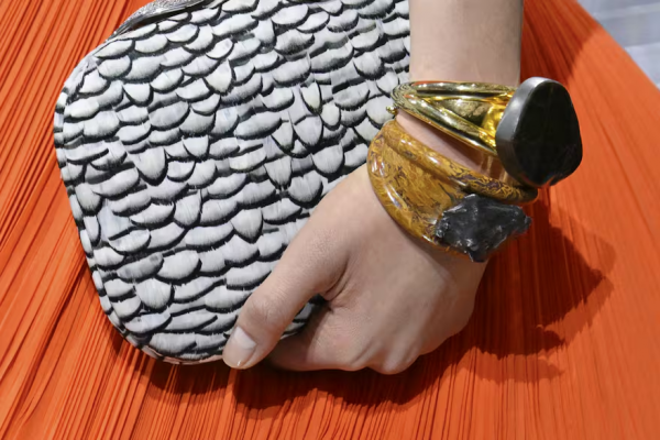 El polémico uso de meteoritos argentinos en el desfile de Christian Dior: ¿es legal?