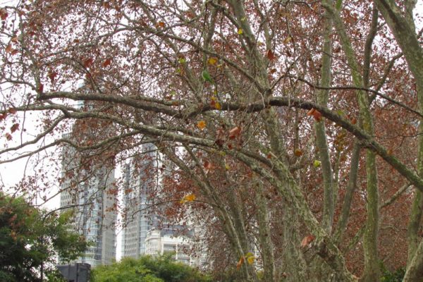 Crucigrama: El Equinoccio, el Otoño y un fenómeno de Sol