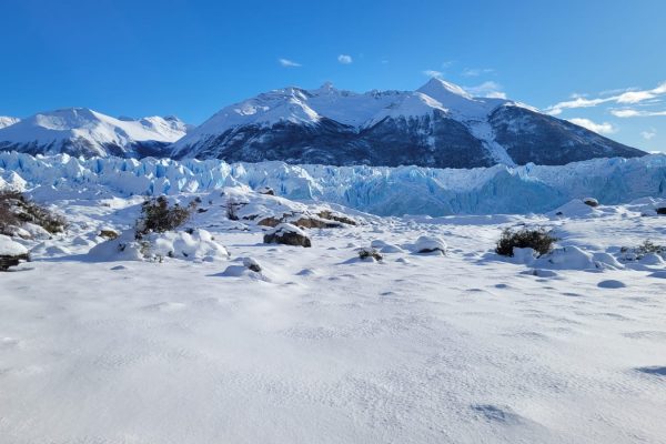 Hielo & Aventura inaugura una nueva etapa: el minitrekking operará los 12 meses del año, consolidando la experiencia en las cuatro estaciones