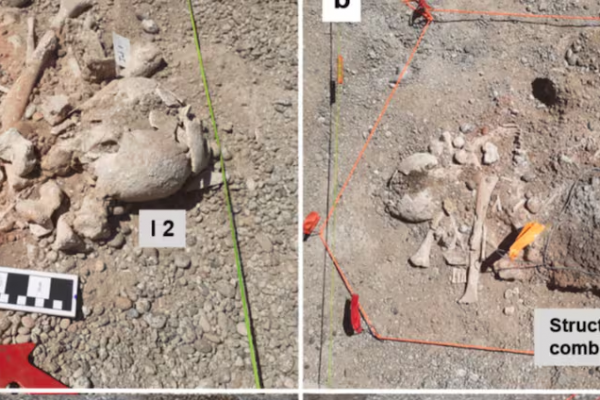 El hallazgo de restos humanos de más de 10 mil años en la Patagonia que abre el debate sobre cómo se pobló América