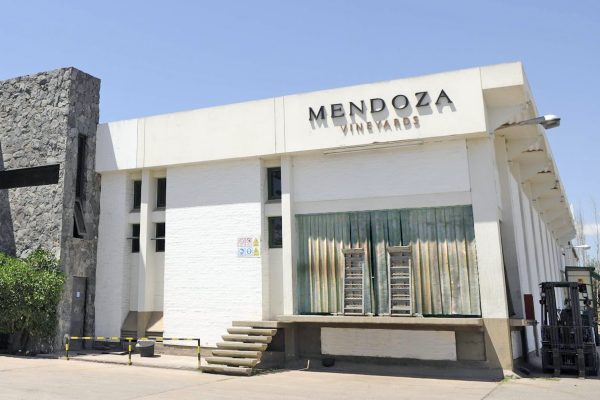 Mendoza Vineyards obtiene las certificaciones BRCGS e IFS y refuerza su expansión internacional