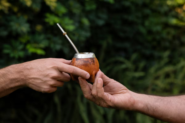 El mate podría retrasar el Parkinson, según un estudio de la UBA