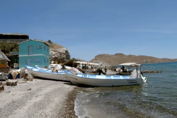 Llegaron en bote a una isla desierta y la transformaron en su hogar: hoy sus hijos viven de la pesca y los turistas curiosos