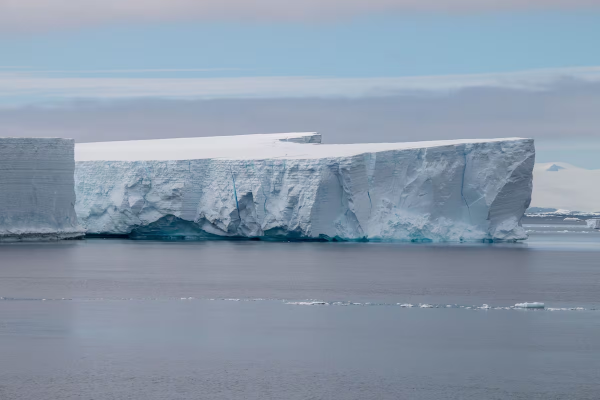 Científicos buscaban un barco perdido en la Antártida, pero lo que vieron debajo de un iceberg los dejó impactados