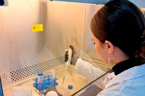 Científicos argentinos crearon un test de sangre para detectar trastornos del neurodesarrollo en niños