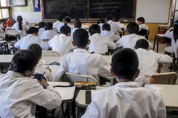En diez años: el rendimiento verbal de los estudiantes argentinos cayó 8,4% y el coeficiente intelectual bajó 3,6 puntos