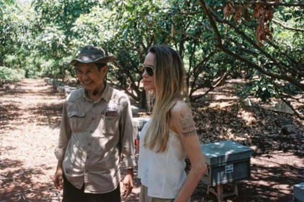 Angelina Jolie compró 39 hectáreas en Camboya y desde hace 23 años protege un bosque con 200 especies