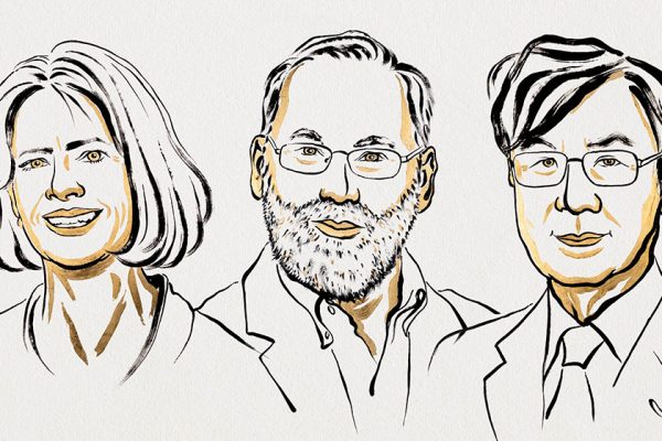 El Nobel de Medicina 2026 premió a 3 científicos que investigan la actividad cerebral mediante el control de las neuronas con luz